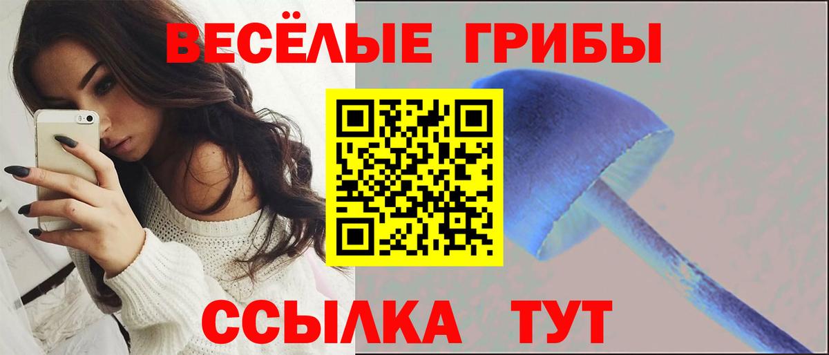 Псилоцибиновые грибы Psilocybine cubensis Ангарск